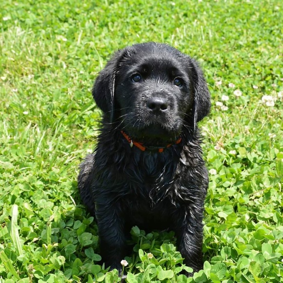 Meet Melissa - Picture 2 of 7